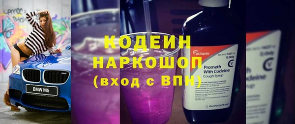 индика Горно-Алтайск