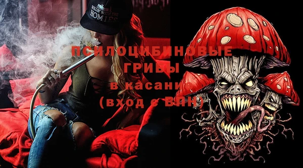 индика Горно-Алтайск