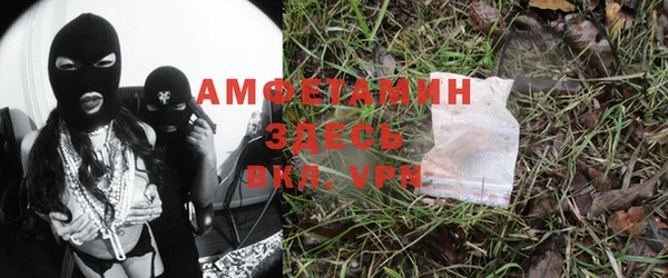 индика Горно-Алтайск