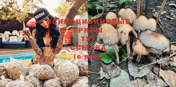 индика Горно-Алтайск