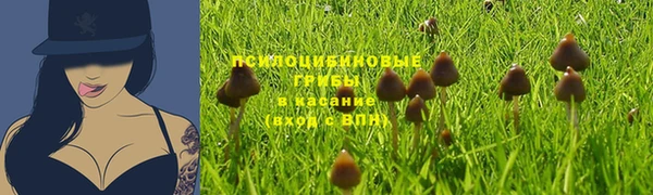mix Горнозаводск