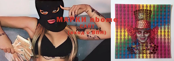 индика Горно-Алтайск