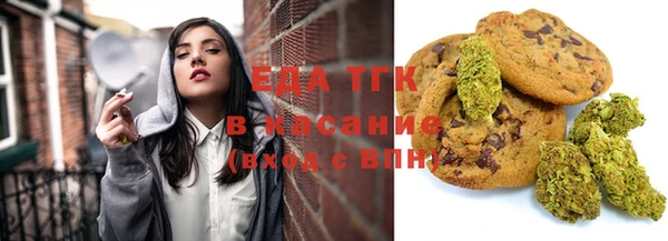 индика Горно-Алтайск